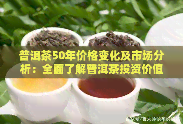 普洱茶50年价格变化及市场分析：全面了解普洱茶投资价值与趋势