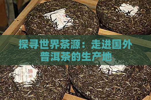 探寻世界茶源：走进国外普洱茶的生产地