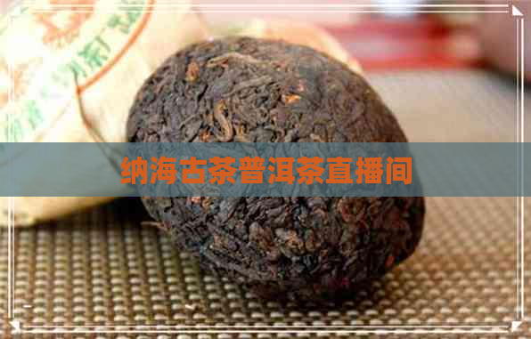 纳海古茶普洱茶直播间