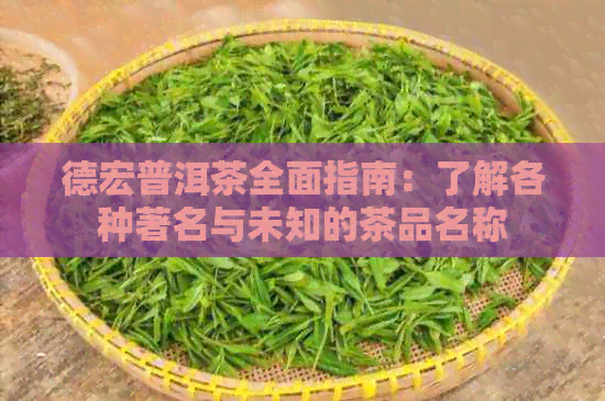 德宏普洱茶全面指南：了解各种著名与未知的茶品名称