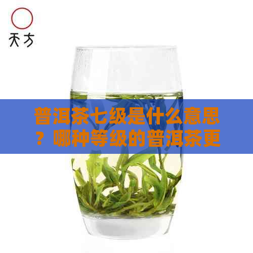 普洱茶七级是什么意思？哪种等级的普洱茶更好？