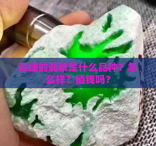 深绿的翡翠是什么品种？怎么样？值钱吗？