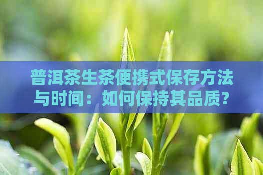 普洱茶生茶便携式保存方法与时间：如何保持其品质？