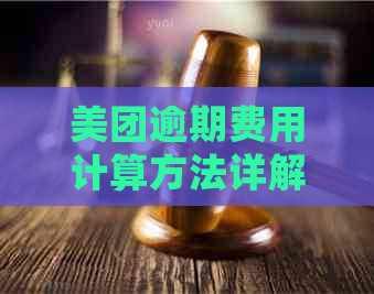 美团逾期费用计算方法详解：如何正确计算逾期产生的费用及影响？