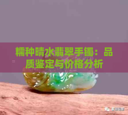 糯种晴水翡翠手镯：品质鉴定与价格分析