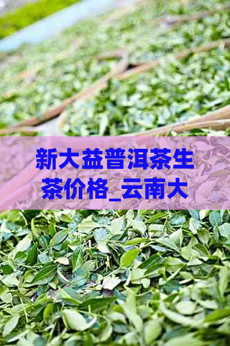 新大益普洱茶生茶价格_云南大益普洱茶最新报价_高品质生茶购买指南