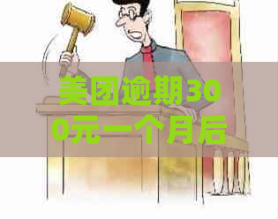 美团逾期300元一个月后果解析：信用影响、罚款细节与解决方案全面掌握