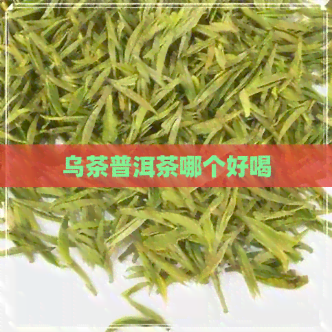 乌茶普洱茶哪个好喝