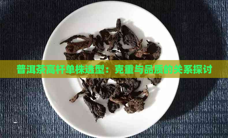 普洱茶高杆单株选型：克重与品质的关系探讨