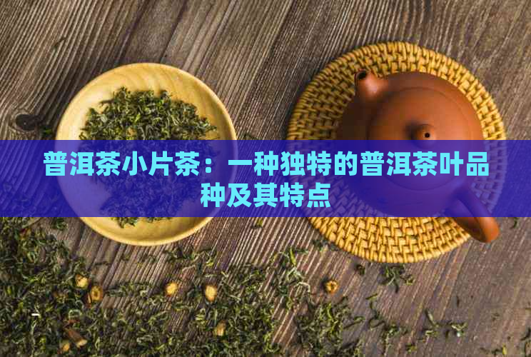 普洱茶小片茶：一种独特的普洱茶叶品种及其特点