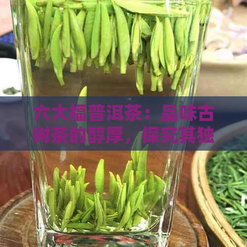 六大福普洱茶：品味古树茶的醇厚，探究其独特魅力与品种分类