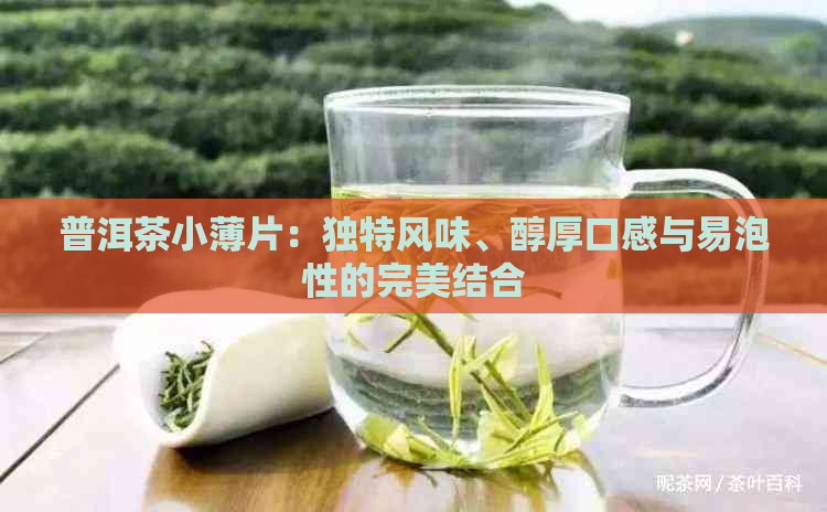 普洱茶小薄片：独特风味、醇厚口感与易泡性的完美结合