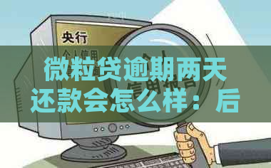 微粒贷逾期两天还款会怎么样：后果与影响全解析