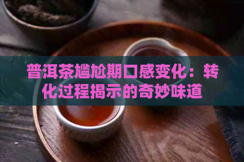 普洱茶尴尬期口感变化：转化过程揭示的奇妙味道