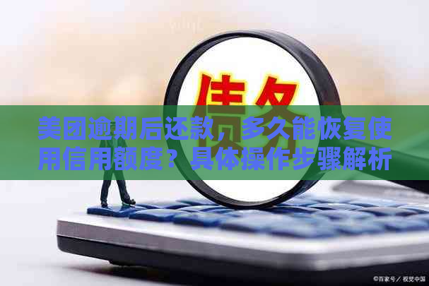 美团逾期后还款，多久能恢复使用信用额度？具体操作步骤解析