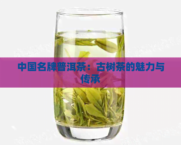 中国名牌普洱茶：古树茶的魅力与传承