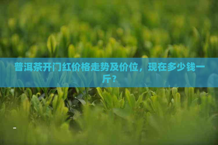 普洱茶开门红价格走势及价位，现在多少钱一斤？