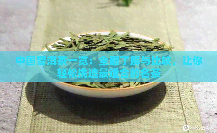 中国普洱茶一览：全面了解与比较，让你轻松挑选最适合的名茶