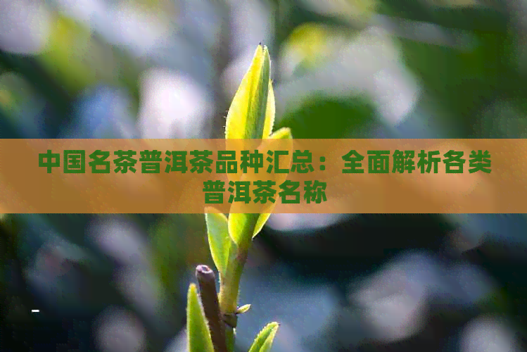 中国名茶普洱茶品种汇总：全面解析各类普洱茶名称