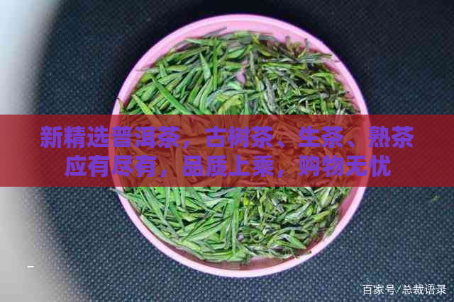 新精选普洱茶，古树茶、生茶、熟茶应有尽有，品质上乘，购物无忧