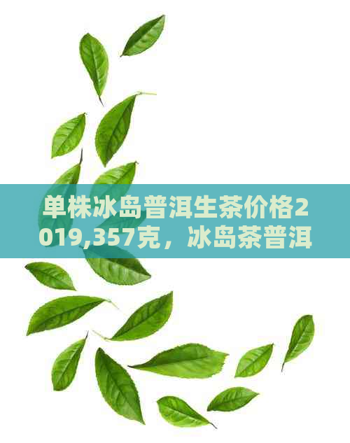 单株冰岛普洱生茶价格2019,357克，冰岛茶普洱生茶是吗？