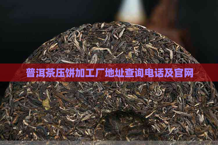 普洱茶压饼加工厂地址查询电话及官网