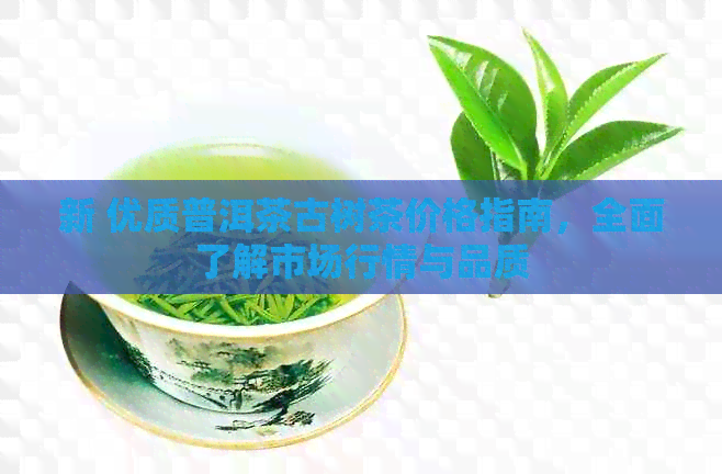 新 优质普洱茶古树茶价格指南，全面了解市场行情与品质