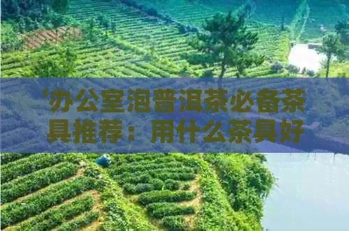 '泡普洱茶必备茶具推荐：用什么茶具好？'