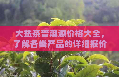 大益茶普洱源价格大全，了解各类产品的详细报价