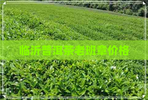 临沂普洱茶老班章价格