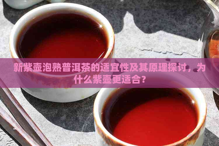 新紫壶泡熟普洱茶的适宜性及其原理探讨，为什么紫壶更适合？