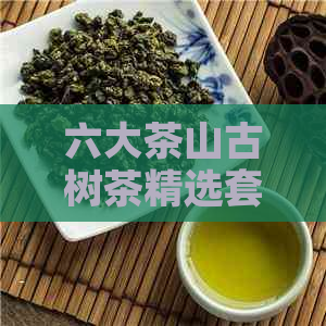 六大茶山古树茶精选套装：中茶品质保证，传承千年的茶叶文化