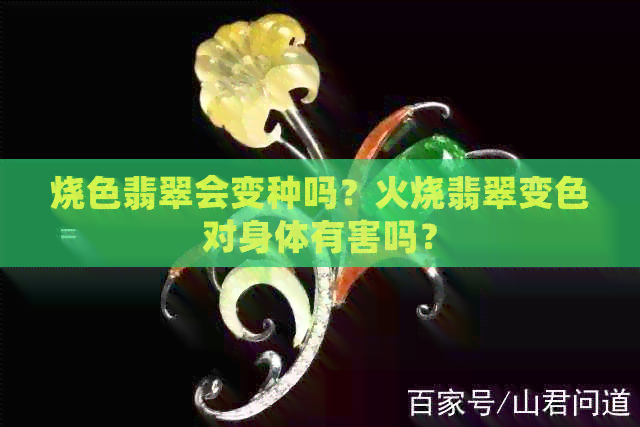 烧色翡翠会变种吗？火烧翡翠变色对身体有害吗？