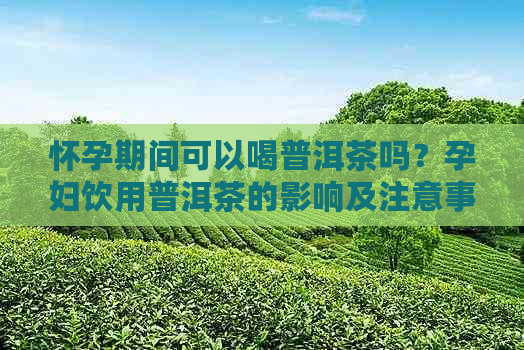 怀孕期间可以喝普洱茶吗？孕妇饮用普洱茶的影响及注意事项