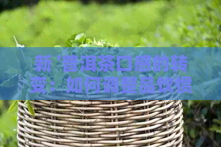 新 '普洱茶口感的转变：如何调整品饮惯以适应不同的普洱茶'