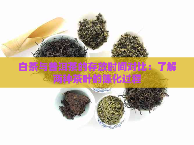 白茶与普洱茶的存放时间对比：了解两种茶叶的陈化过程