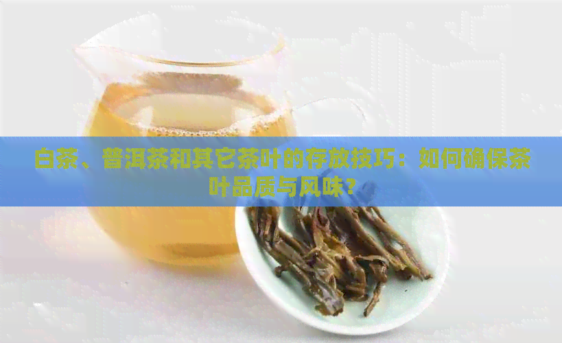 白茶、普洱茶和其它茶叶的存放技巧：如何确保茶叶品质与风味？