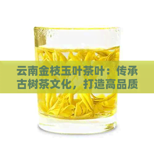 云南金枝玉叶茶叶：传承古树茶文化，打造高品质生活茶品