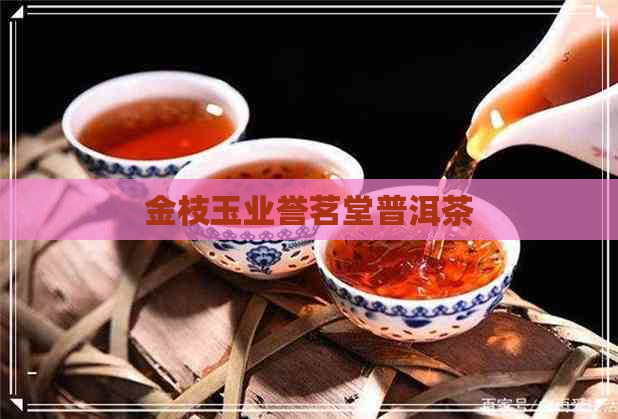 金枝玉业誉茗堂普洱茶