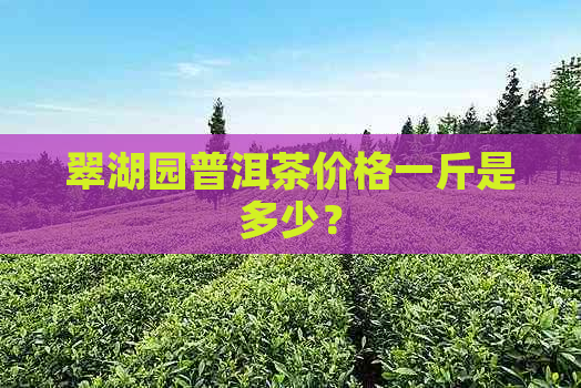 翠湖园普洱茶价格一斤是多少？