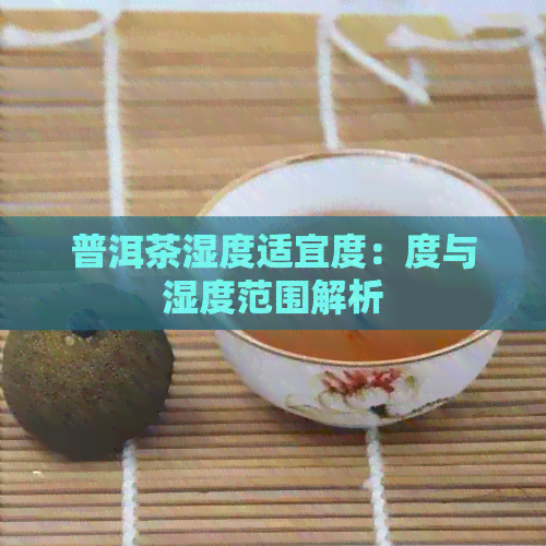 普洱茶湿度适宜度：度与湿度范围解析