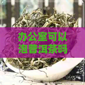 可以泡普洱茶吗