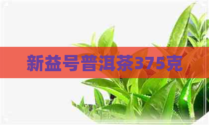 新益号普洱茶375克