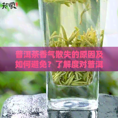 普洱茶香气散失的原因及如何避免？了解度对普洱茶香气的影响