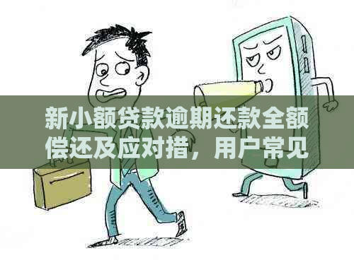 新小额贷款逾期还款全额偿还及应对措，用户常见问题解答