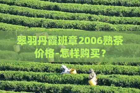 翠羽丹霞班章2006熟茶价格-怎样购买？