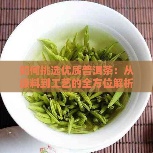 如何挑选优质普洱茶：从原料到工艺的全方位解析