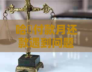 哈啰付款月还款遇到问题？这里有解决方案！