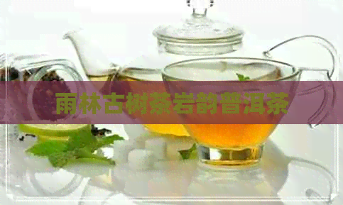 雨林古树茶岩韵普洱茶