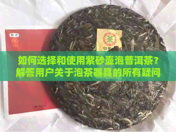 如何选择和使用紫砂壶泡普洱茶？解答用户关于泡茶器具的所有疑问